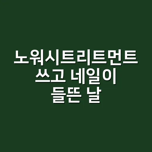 노워시트리트먼트 쓰고 네일이 들뜬 날 - 요약