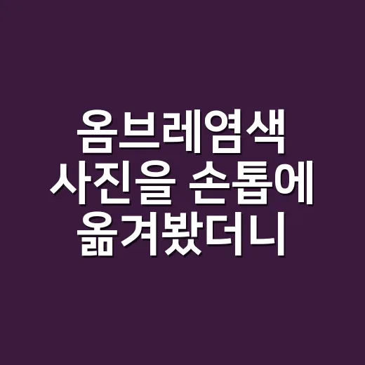 옴브레염색 사진을 손톱에 옮겨봤더니 - 요약