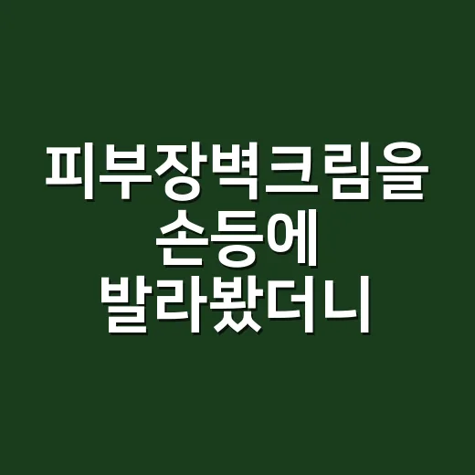 피부장벽크림을 손등에 발라봤더니 달라진 것 - 요약
