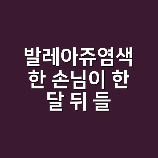 발레아쥬염색 한 손님이 한 달 뒤 들려준 이야기 - 요약