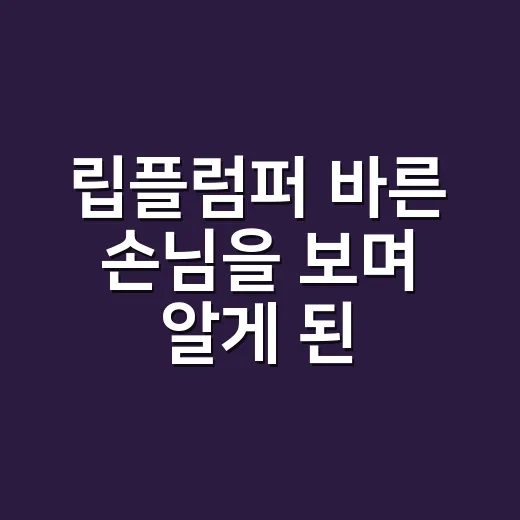 립플럼퍼 바른 손님을 보며 알게 된 차이 - 요약