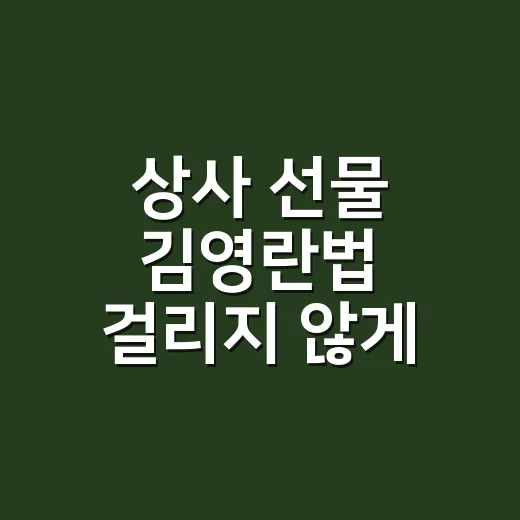 상사 선물 김영란법 걸리지 않게 고르는 방법 - 요약