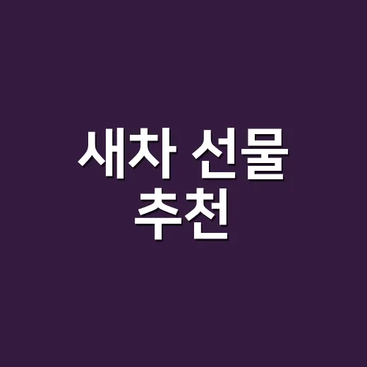 새차 선물 추천, 예산별로 실패 줄이는 방법