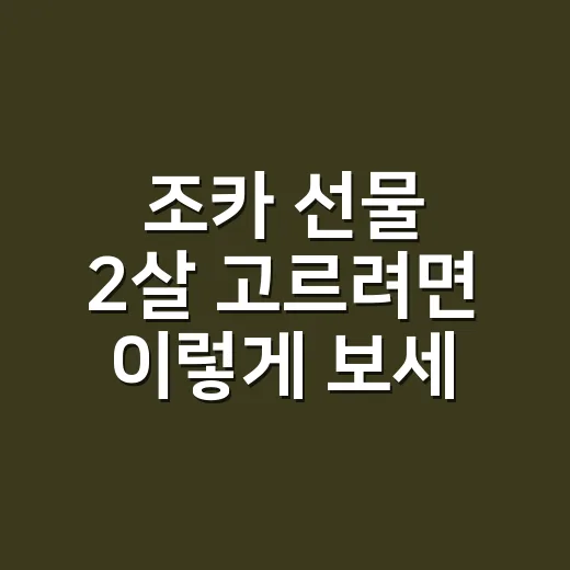조카 선물 2살 고르려면 이렇게 보세요 - 요약