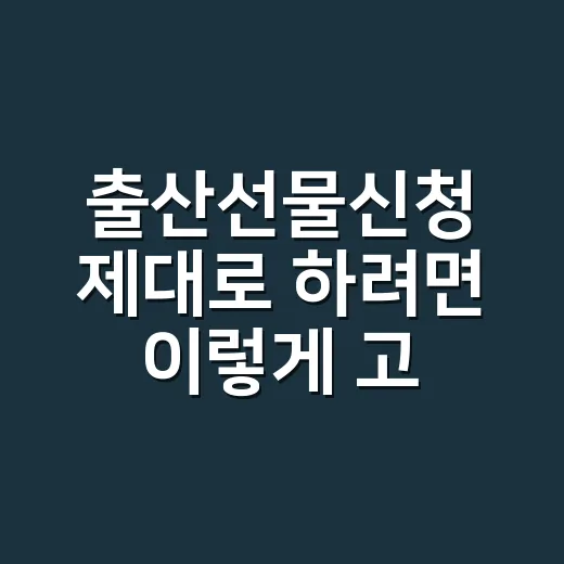 출산선물신청 제대로 하려면 이렇게 고르세요 - 요약