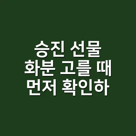 승진 선물 화분 고를 때 먼저 확인하는 방법 - 요약