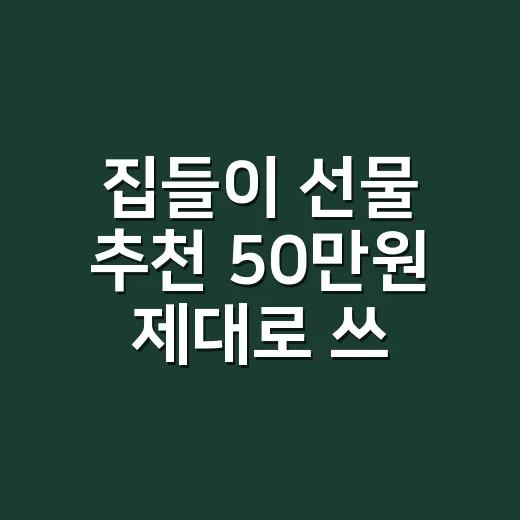 집들이 선물 추천 50만원 제대로 쓰는 방법 - 요약
