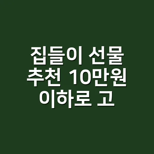 집들이 선물 추천 10만원 이하로 고르는 방법 - 요약