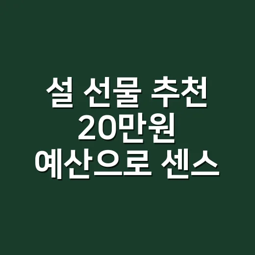 설 선물 추천 20만원 예산으로 센스 있게 고르는 방법 - 요약