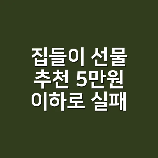 집들이 선물 추천 5만원 이하로 실패 없이 고르는 방법 - 요약