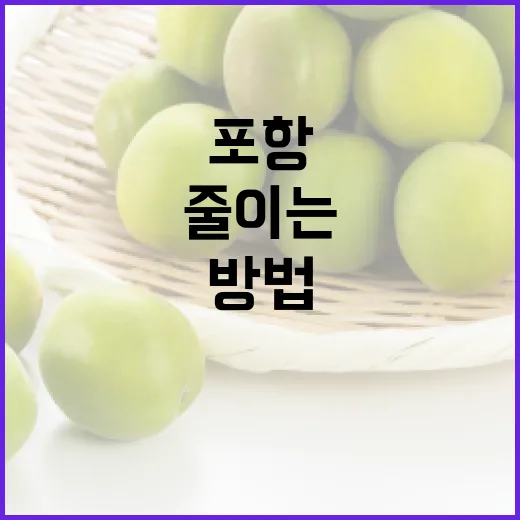 포항 이스트라핫 제대로 찾고 헛걸음 줄이는 방법 - 요약