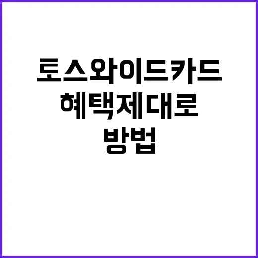 토스와이드카드 혜택 제대로 쓰는 방법, 40만원 실적부터 계산하기 - 요약