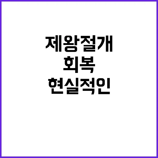 제왕절개 준비부터 회복까지 초보자를 위한 현실적인 방법 - 요약