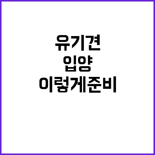 유기견 입양하는 방법, 처음이라면 이렇게 준비하세요 - 요약