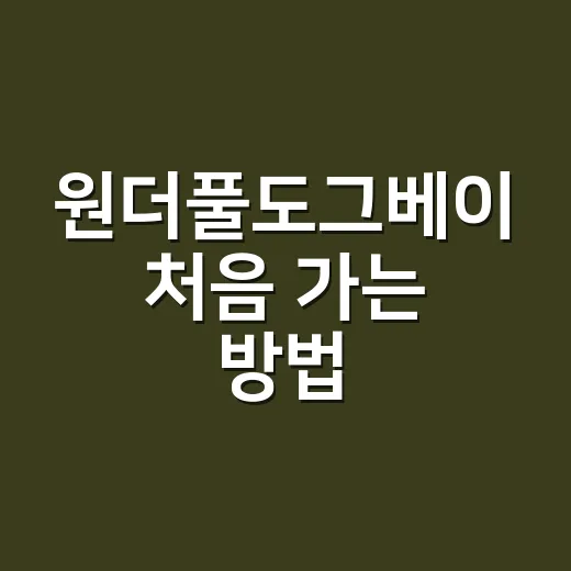 원더풀도그베이 처음 가는 방법, 예약 전 준비물부터 이용 팁까지 - 요약