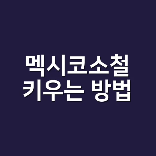 멕시코소철 키우는 방법, 잎이 누렇게 변할 때까지 한 번에 잡는 관리법 - 요약