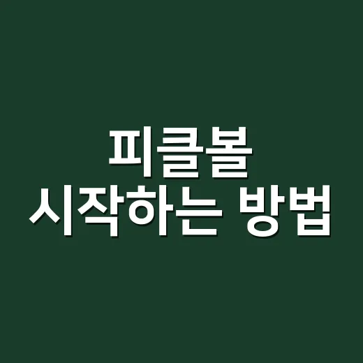 피클볼 시작하는 방법, 초보자가 첫 경기 전에 알면 좋은 것들 - 요약