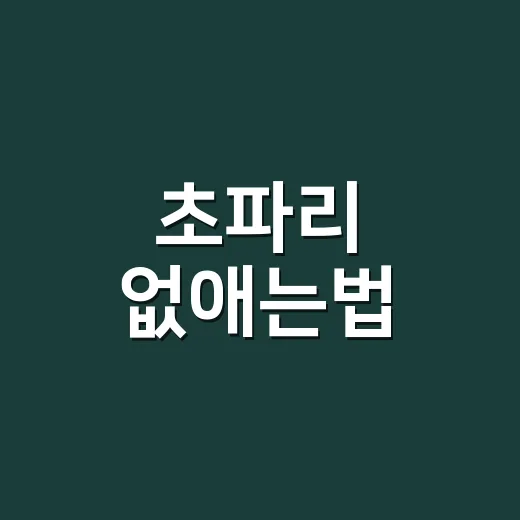 초파리 없애는법, 집에서 바로 효과 보는 관리 방법 - 요약