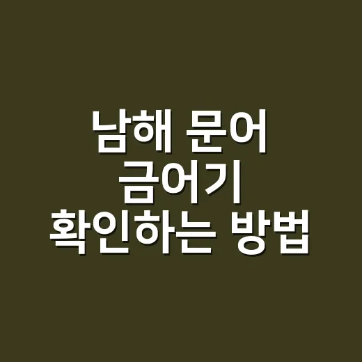 남해 문어 금어기 확인하는 방법, 출조 전 이렇게 챙기세요 - 요약