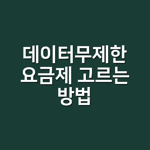 데이터무제한 요금제 고르는 방법, 속도제한까지 확인해야 손해가 적어요 - 요약