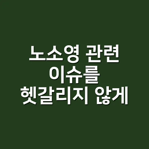 노소영 관련 이슈를 헷갈리지 않게 보는 방법 - 요약
