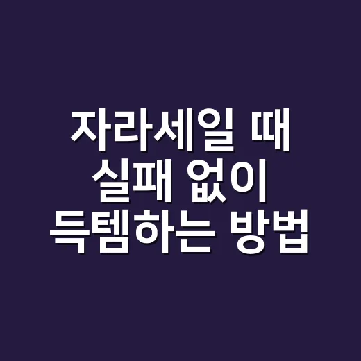 자라세일 때 실패 없이 득템하는 방법, 초보자도 바로 써먹는 쇼핑 팁 - 요약