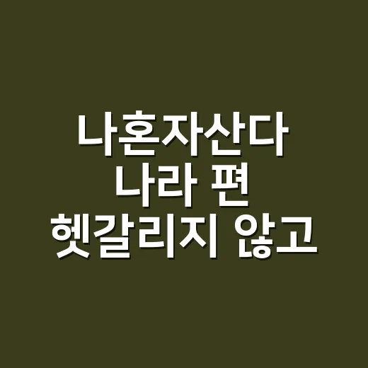 나혼자산다 나라 편 헷갈리지 않고 찾아보는 방법 - 요약