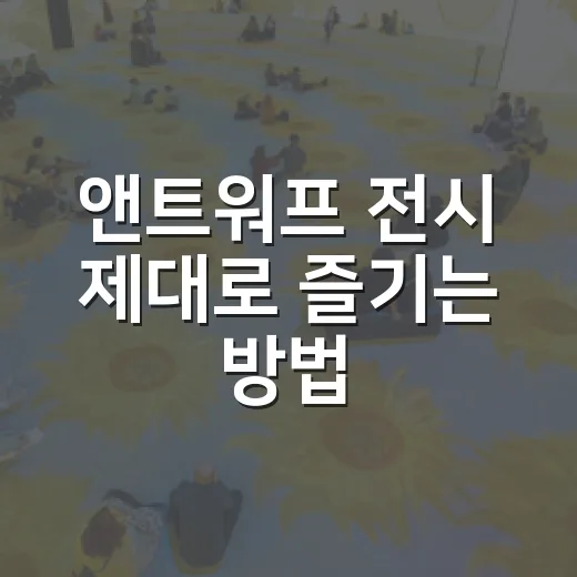 앤트워프 전시 제대로 즐기는 방법, 미술관 동선부터 예약 팁까지 - 요약