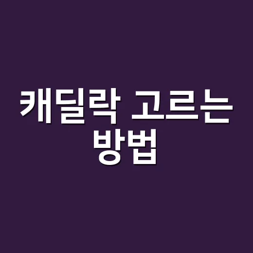 캐딜락 고르는 방법: 초보자를 위한 모델 선택 기준 - 요약