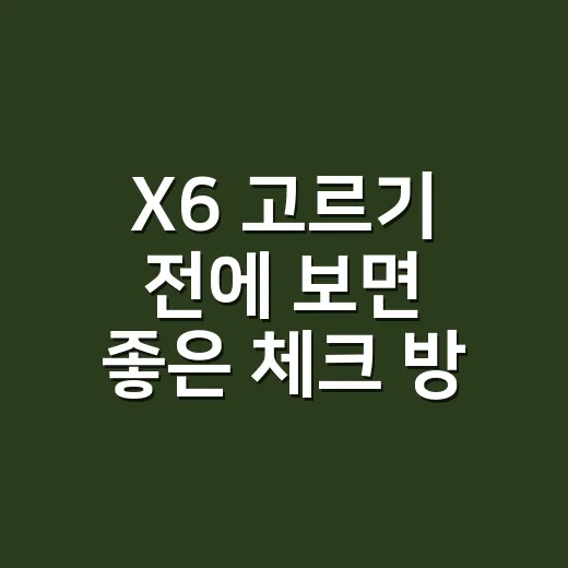 X6 고르기 전에 보면 좋은 체크 방법 - 요약