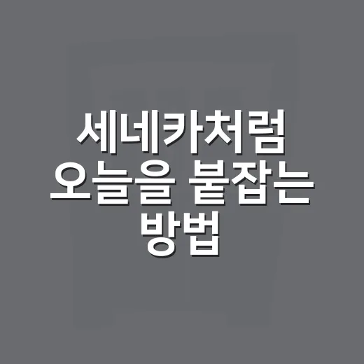 세네카처럼 오늘을 붙잡는 방법, 하루가 덜 흔들리려면 이렇게 - 요약