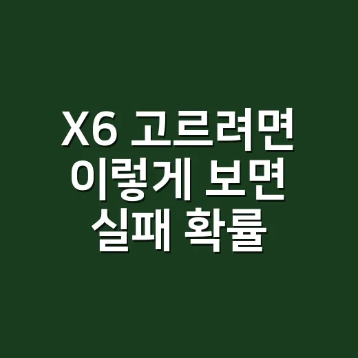 X6 고르려면 이렇게 보면 실패 확률이 줄어듭니다 - 요약
