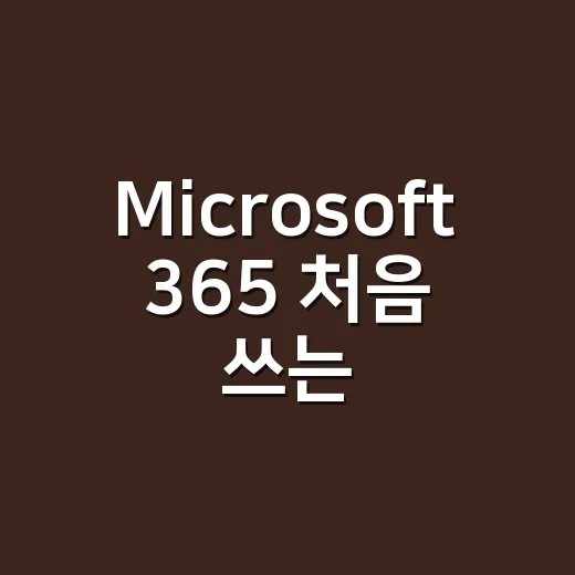 Microsoft 365 처음 쓰는 사람이 비용 아끼며 시작하는 방법 - 요약