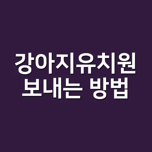 강아지유치원 보내는 방법, 처음 맡기기 전 꼭 보는 체크리스트 - 요약