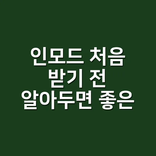 인모드 처음 받기 전 알아두면 좋은 선택 방법 - 요약