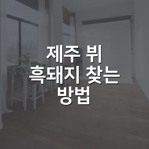 제주 뷔 흑돼지 찾는 방법, 동선부터 주문 팁까지 이렇게 잡으면 편해요 - 요약