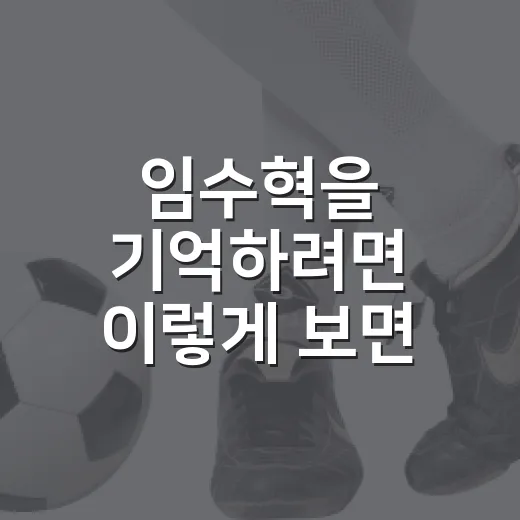 임수혁을 기억하려면 이렇게 보면 좋습니다 - 요약
