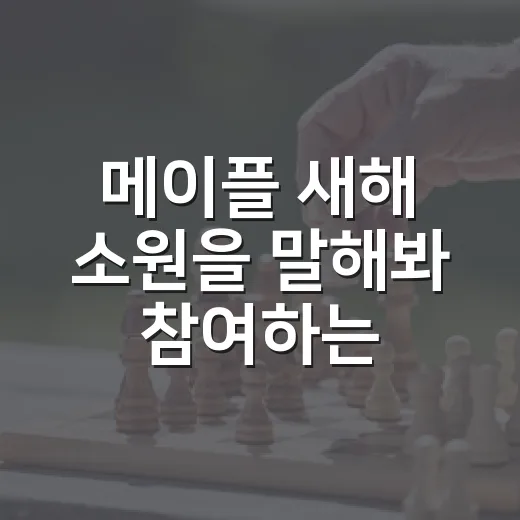 메이플 새해 소원을 말해봐 참여하는 방법, 놓치기 쉬운 보상까지 챙기기 - 요약