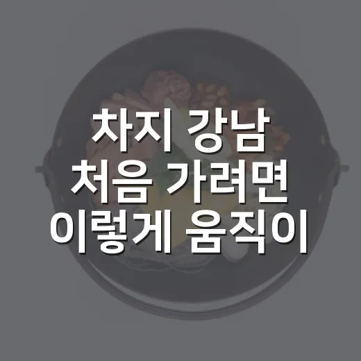 차지 강남 처음 가려면 이렇게 움직이면 편합니다 - 요약