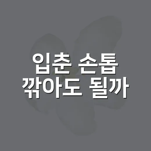 입춘 손톱 깎아도 될까? 속설과 생활 팁을 편하게 보는 방법 - 요약
