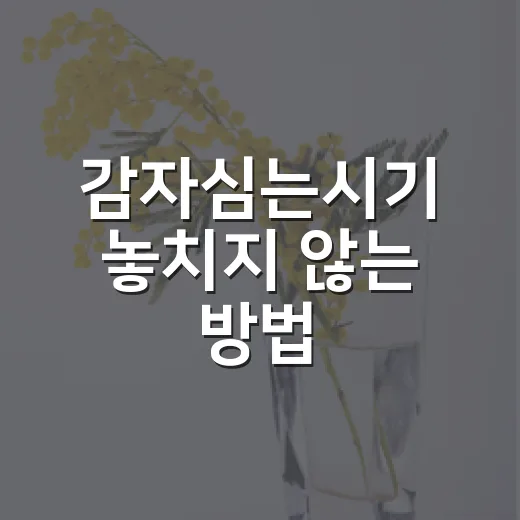 감자심는시기 놓치지 않는 방법, 봄감자와 가을감자 이렇게 잡으세요 - 요약