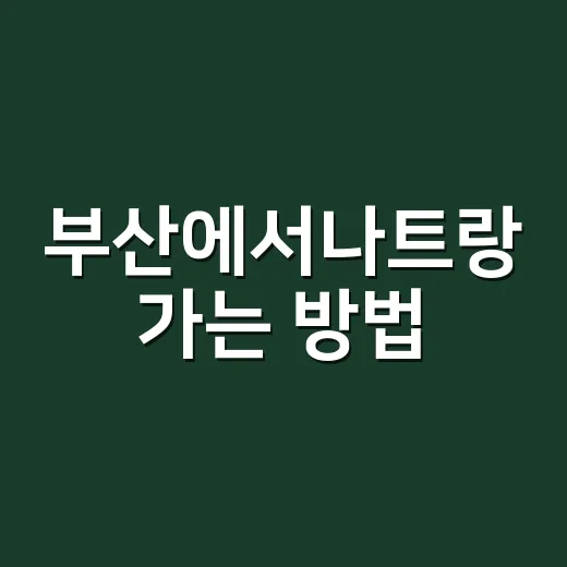 부산에서나트랑 가는…