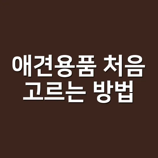 애견용품 처음 고르는 방법, 사료부터 산책템까지 이렇게 준비하세요 - 요약