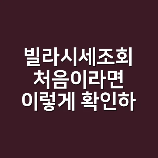 빌라시세조회 처음이…