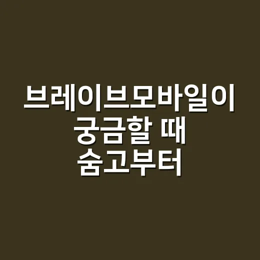 브레이브모바일이 궁금할 때 숨고부터 이해하는 방법 - 요약