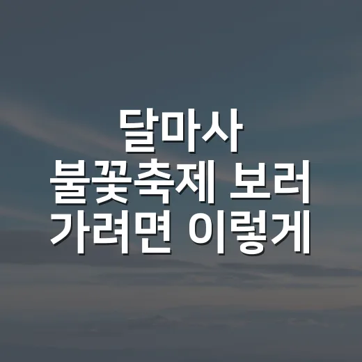 달마사 불꽃축제 보러 가려면 이렇게 준비하는 방법 - 요약