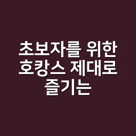 초보자를 위한 호캉스 제대로 즐기는 방법 - 요약