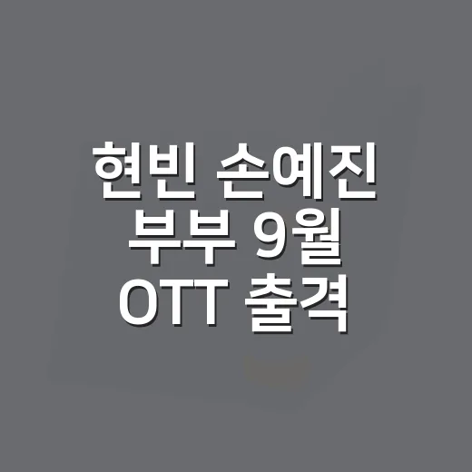 현빈 손예진 부부 9월 OTT 출격 챙겨보려면 이렇게 - 요약