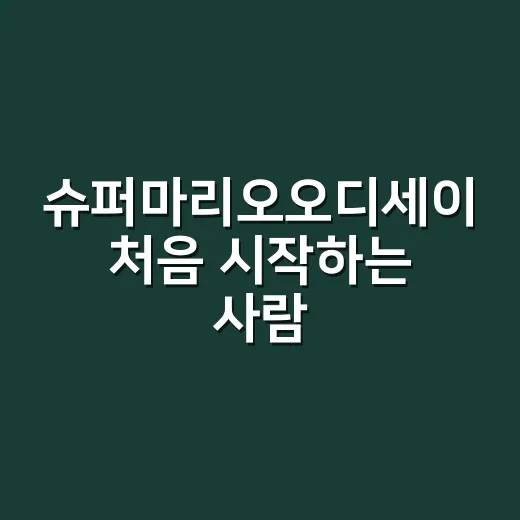 슈퍼마리오오디세이 처음 시작하는 사람이 오래 즐기는 방법 - 요약