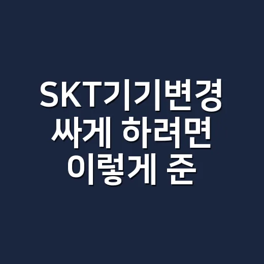 SKT기기변경 싸게 하려면 이렇게 준비하세요 - 요약